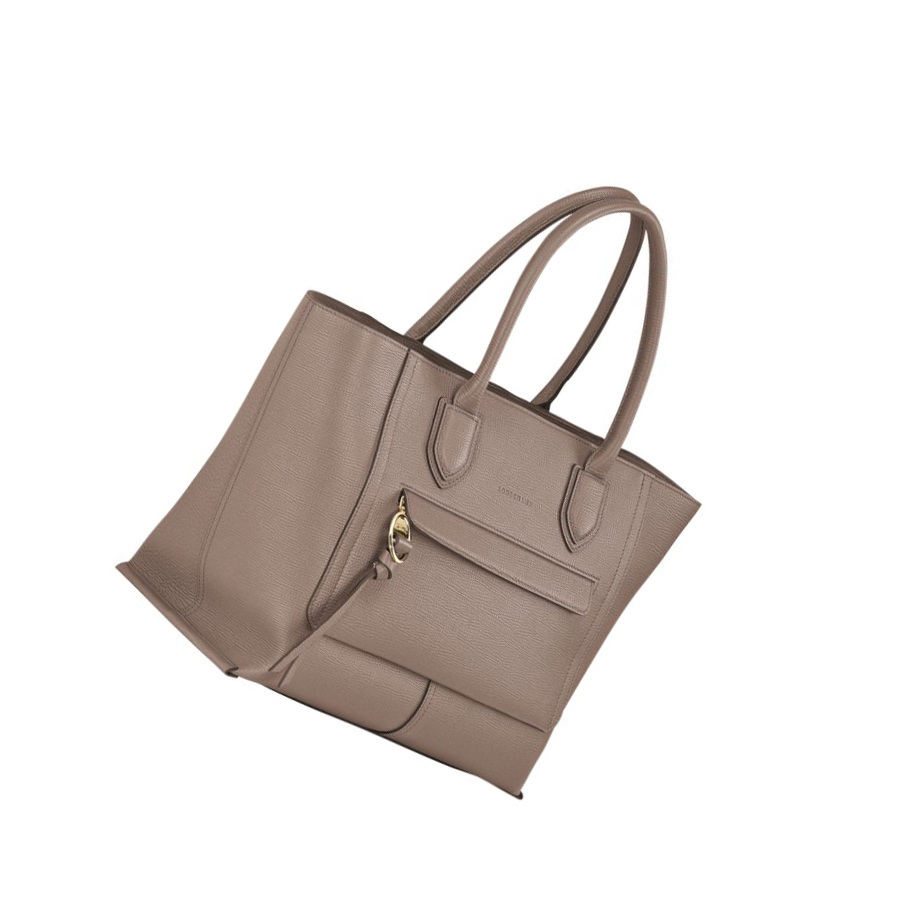 Női Longchamp Mailbox L Kézitáska Barna | HU-FPG8351