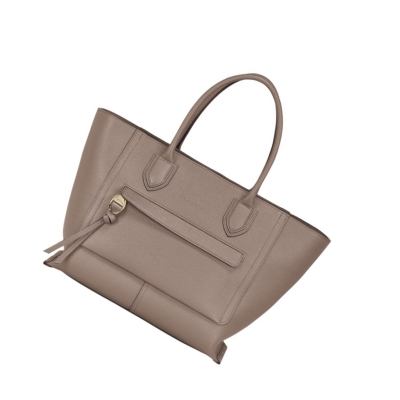 Női Longchamp Mailbox L Kézitáska Barna | HU-FPG8351