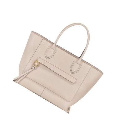 Női Longchamp Mailbox L Kézitáska Bézs | HU-YLX8943